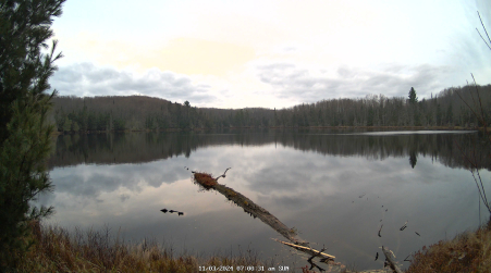 Image from 2024-11-03