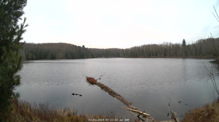 Image from 2024-11-03