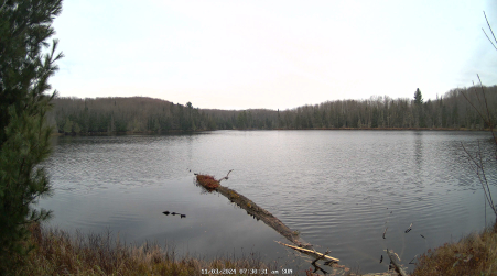 Image from 2024-11-03