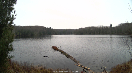 Image from 2024-11-03