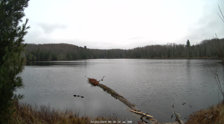 Image from 2024-11-03