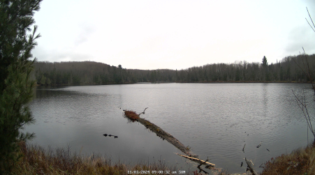 Image from 2024-11-03