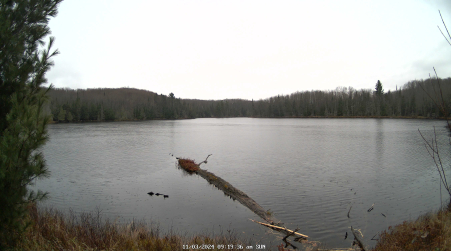 Image from 2024-11-03