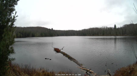 Image from 2024-11-03