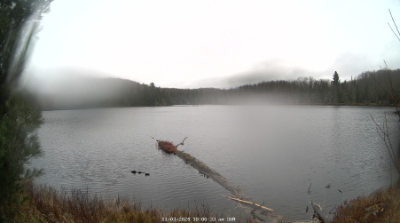 Image from 2024-11-03
