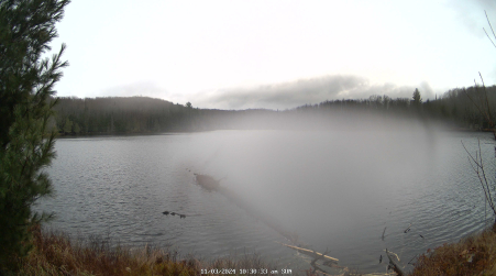 Image from 2024-11-03