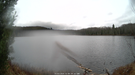 Image from 2024-11-03