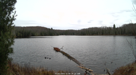 Image from 2024-11-03