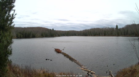 Image from 2024-11-03