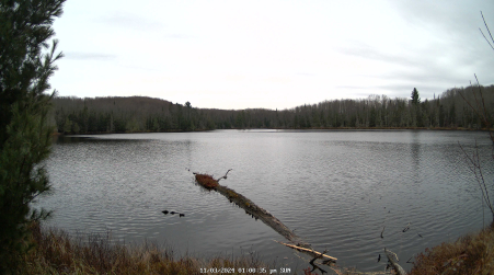Image from 2024-11-03