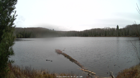 Image from 2024-11-03