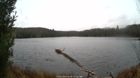 Image from 2024-11-03