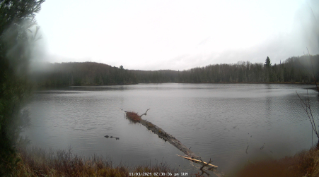Image from 2024-11-03