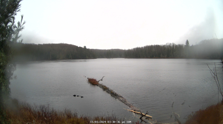 Image from 2024-11-03