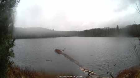 Image from 2024-11-03