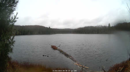Image from 2024-11-03