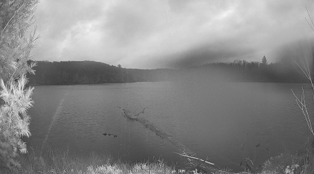 Image from 2024-11-03