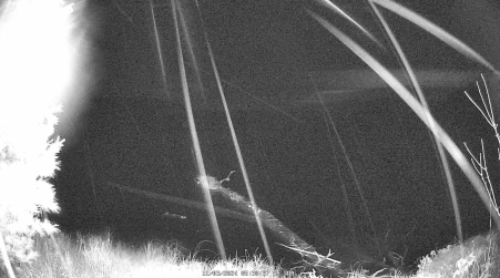 Image from 2024-11-03
