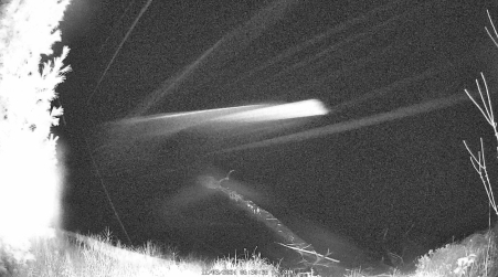Image from 2024-11-03