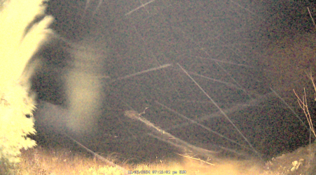 Image from 2024-11-03