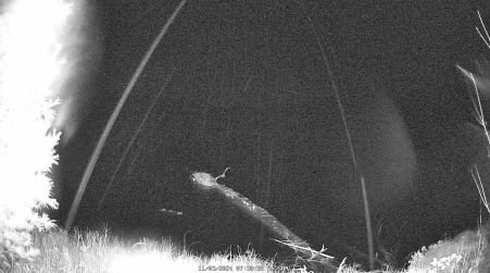 Image from 2024-11-03