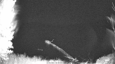 Image from 2024-11-03