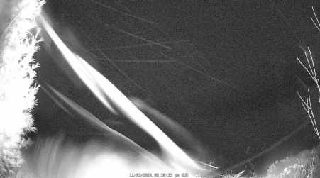 Image from 2024-11-03
