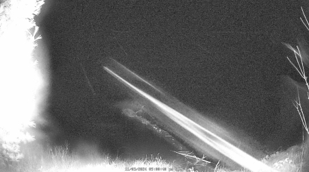 Image from 2024-11-03