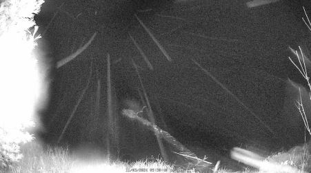 Image from 2024-11-03