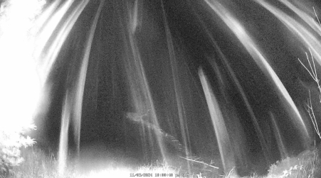 Image from 2024-11-03
