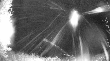 Image from 2024-11-03