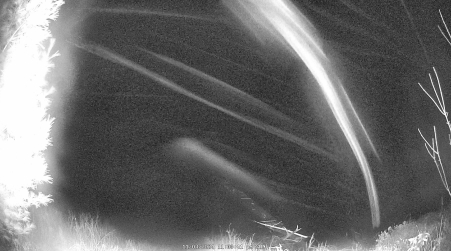 Image from 2024-11-03