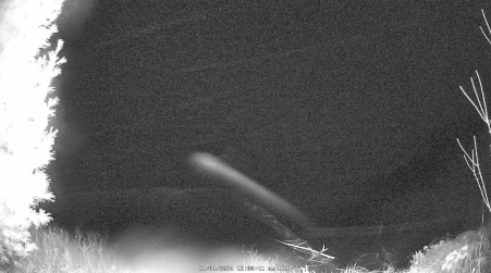Image from 2024-11-04