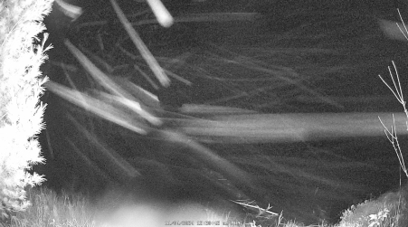 Image from 2024-11-04