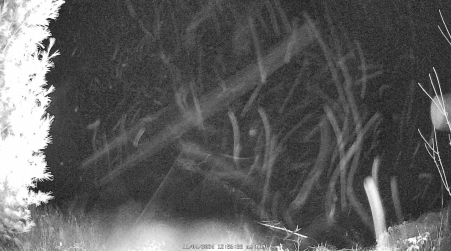 Image from 2024-11-04