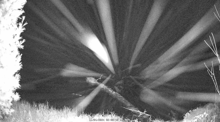Image from 2024-11-04
