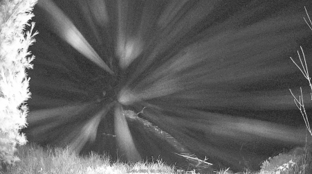Image from 2024-11-04