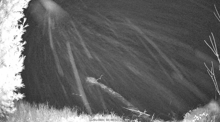 Image from 2024-11-04