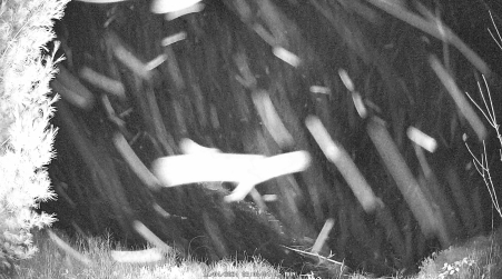 Image from 2024-11-04