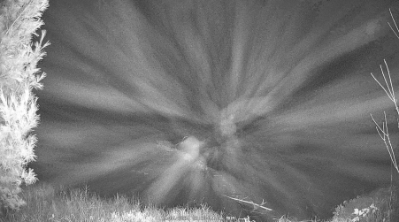 Image from 2024-11-04