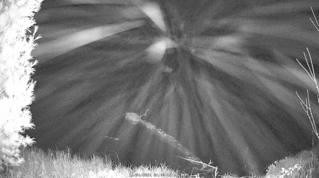 Image from 2024-11-04