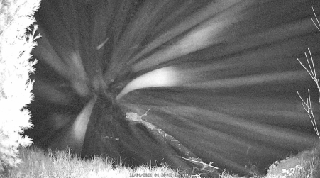 Image from 2024-11-04