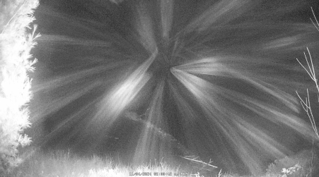 Image from 2024-11-04