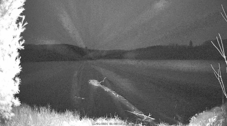 Image from 2024-11-04
