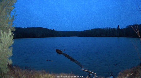 Image from 2024-11-04