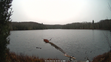 Image from 2024-11-04