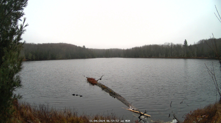 Image from 2024-11-04