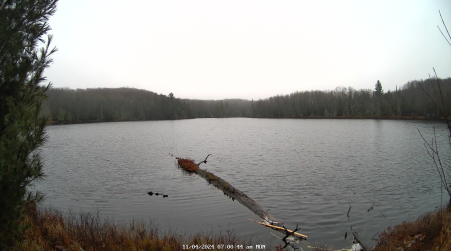 Image from 2024-11-04