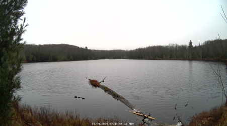 Image from 2024-11-04