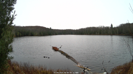 Image from 2024-11-04